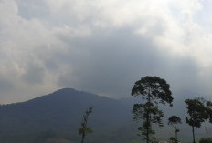 Cuaca Malang Raya Hari Ini 18 Agustus 2026: Malang Cerah Berawan, Batu Berkabut, Gelombang Selatan Capai 2,6 M