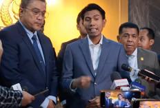 Malaysia-Brunei Bawa Asap Karhutla ke ASEAN, Begini Langkah Pemerintah