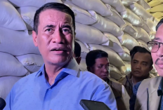 Hadapi El Nino 'Godzilla', Pemerintah Jamin Stok Pangan Aman, Cadangan Beras Melimpah hingga 2027