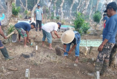 Lestarikan Tradisi Leluhur, Warga Temas Gelar Tradisi Gugur Gunung Jelang Bersih Desa