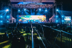 Festival Mbois 11 Usai, Malang Siapkan 5 IP untuk Menggerakkan Ekosistem Kreatif