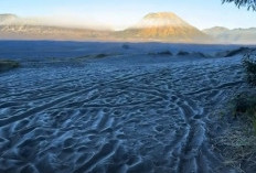 Bromo Diselimuti Embun Beku, Suhu Dini Hari Turun hingga di Bawah 5 Derajat Celsius