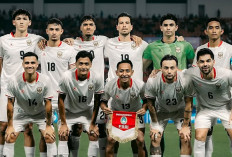 Naturalisasi Pasal 20 untuk Timnas Indonesia, Jangan Sampai Untungkan Klub
