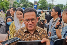 Atasi Surplus Produksi Telur 12 Persen, Kemendag Gandeng BGN Serap Telur untuk MBG, Sudah Diterapkan di Blitar
