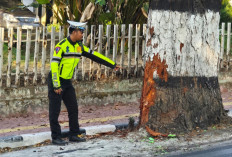 Kecelakaan Maut di Junrejo Batu, Pemotor Tewas usai Hantam Pohon