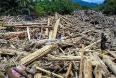 Sisir Anggaran 'Tak Jelas' Kementerian, Pemerintah Alokasikan Rp60 T dari APBN untuk Bencana Sumatera