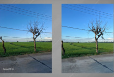 Samsung Galaxy A56 vs iPhone 13, Adu Kamera Bikin Kaget! Foto Low Light A56 Unggul Telak, Tapi Video iPhone 13