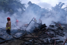 Kebakaran Kandang Ayam di Oro-Oro Ombo, 15.000 Ayam Pedaging Gosong, Kerugian Rp1 M 