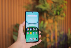 7 HP Rp2 Jutaan Terbaik 2026, Baterai Jumbo hingga Layar AMOLED