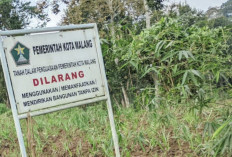 Hampir 4.000 Aset Tanah Pemkot Malang Belum Bersertifikat, BKAD Target Tuntas 3 Tahun