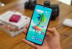 Samsung Galaxy A55 Jadi HP 5 Jutaan Paling Laris, Ini Alasan Banyak Orang Tetap Membelinya