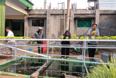 UM Terapkan Aquaponik Berbasis IoT di Pesantren Mambaul Abyad, Santri Dilatih Kelola Produksi Pangan