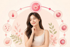 Memahami Timeline Kesuburan Wanita, Peluang Hamil Berubah Seiring Usia