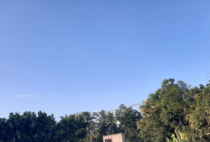 Cuaca Malang Raya 13 April, 31 Kecamatan Cerah, 3 Hujan Ringan, Jatim Masih Level Waspada Hujan Sedang-Lebat 