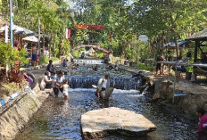 Dam Cokro Karangploso Berbenah, Sukses Bawa Dampak Ekonomi Lokal Lewat Wisata Air Alami Murah Meriah