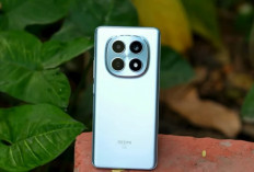 10 HP Rp3 Jutaan Terbaik 2026, Poco X6 Pro hingga Samsung Galaxy A26 Masih Jadi Buruan