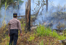 600 Meter Persegi Lahan Terbakar, Api Gunung Panderman Batu Berhasil Dipadamkan