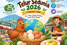 Hari Telur Sedunia 2026, Produksi Telur Kabupaten Malang Tembus 52 Ribu Ton