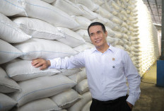 Rekor Baru! Stok Beras RI Tembus 5 Juta Ton, Tertinggi Sepanjang Sejarah di Bulan April