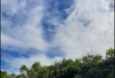 Cuaca Malang Raya 12 Maret: Dominan Cerah dan Berawan, BMKG Peringatkan Potensi Hujan Sedang-Lebat di Jatim