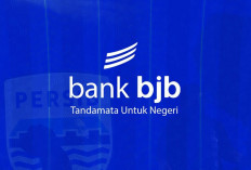 Persib punya 16 sponsor musim 2026/2027, bank bjb kembali jadi sorotan