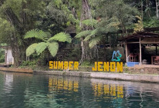 Segarnya Sumber Jenon: Destinasi Wisata Air yang Jernih di Kecamatan Tajinan