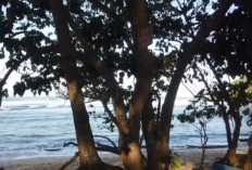 Dua Wajah Memikat Pantai Tanjung Penyu Malang; Sunrise dan Sunset dalam Satu Destinasi