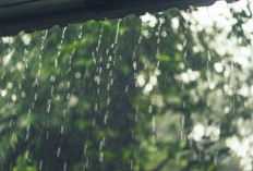 Cuaca Malang Raya 15 Februari: Dominan Hujan Ringan-Sedang, Tiupan Angin Aman, termasuk di Malang Selatan