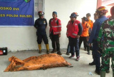 1 Korban Pesawat ATR 42-500 Ditemukan, Evakuasi Terkendala Cuaca dan Medan Sulit