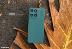 7 HP Snapdragon Terbaik Harga Rp2-3 Jutaan 2026, RAM Besar dan Performa Kencang