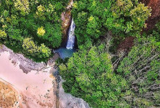 Menyingkap Pesona Pantai Sipelot, Surga Tersembunyi Berpasir Cokelat di Selatan Malang