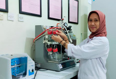 Prof Agustin Krisna UB Raih Grant Perdana NEDO Jepang, Riset Limbah Sawit Jadi Bioetanol Berkelanjutan