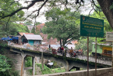 Pemkot Malang Siapkan Rp300 Juta–Rp500 Juta di APBD 2026 untuk Perkuat Pondasi Jembatan Splendid