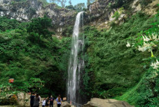 Liburan Akhir Pekan Tiba: Ini 9 Rekomendasi Wisata Alam di Batu dan Sekitarnya yang Wajib Dikunjungi Besok!