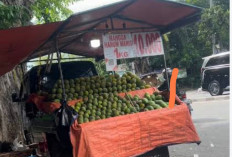 7 Cara Memilih Mangga Manis dan Matang, Jangan Terkecoh Warna Kulit