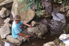 Warga Sabrang Bendo, Kota Batu Wujudkan Rasa Syukur dengan Bekti Bumi