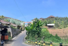 Prakiraan Cuaca Kota Batu Sabtu 24 Oktober: Pagi Hari Cerah. Sore Siap-Siap Hujan