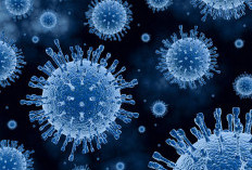 Beda dengan Flu Biasa, Influenza Terdeteksi di 38 Provinsi, Jatim Catat 282 Ribu Kasus ILI