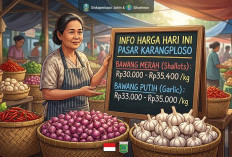 Harga Bawang Merah dan Bawang Putih Hari Ini di Pasar Induk Karangploso, Stabil di Level RendahKARANGPLOSO, DI