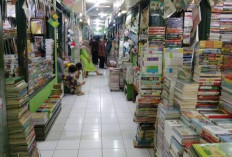 Rekomendasi dan Tips Berburu Buku Bekas Impor Murah di Malang, Ada Cara untuk Menawar Lho!