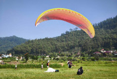 54 Atlet Paralayang Sudah Daftar IPAC 2026, Batu Siap Gelar Sport Tourism Bertaraf Internasional