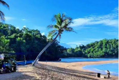 Pesona Pantai Kondang Merak: Menikmati Ketenangan Alam dan Suasana Asri di Pesisir Malang Selatan
