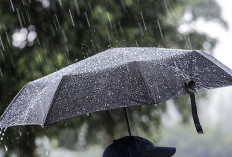 Prakiraan Cuaca Malang Raya 29 Januari 2026: Dominan Hujan Ringan di Kabupaten dan Sebagian Wilayah Kota