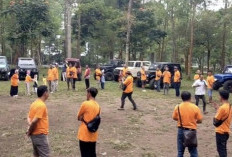 5 Tempat Outbound di Batu untuk Gathering, Ada Hutan Pinus hingga Taman Bunga