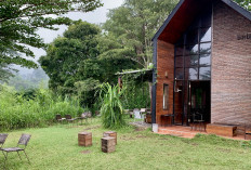 Menepi ke Burbank Coffee, Menikmati Hening di Tengah Rimbunnya Hutan Dau