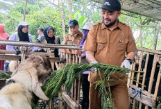 Bagi yang Mau Berkurban, Jangan Sampai Langgar Larangan Ini Ya
