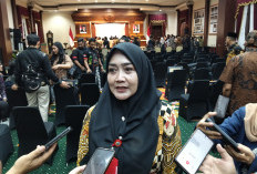 Pemprov Jatim Siapkan Aturan Baru terkait Jeep Wisata Bromo, Bakal Ada Standarisasi