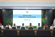 Izin 28 Perusahaan Perusak Lingkungan di Sumatera Resmi Dicabut, Ini Daftarnya!