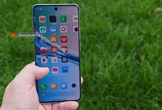 8 HP Rp3 Jutaan Terbaik dengan Layar 120 Hz, Performa Kencang dan Fitur Lengkap