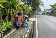 Pedagang Bunga Sepi di Akhir Tahun